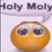 holey moley