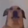 veequu