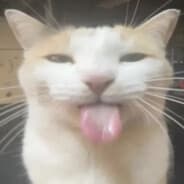 meow