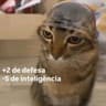 el gato
