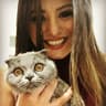 kedi