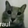 gabaroul