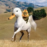 HorseGoesQuack