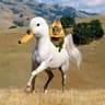 HorseGoesQuack