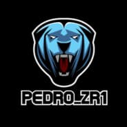 Pedro_ZR1