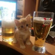 Beer Breaker