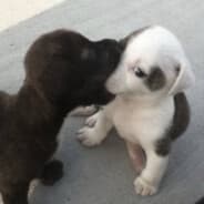 xzisumy