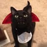 kittypleaser69