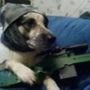 yeetadog