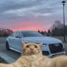 Quattro