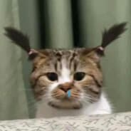 LXM