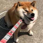 GeneralSnout