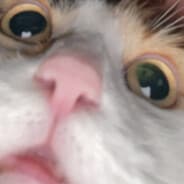 Pesto