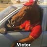 VeigH