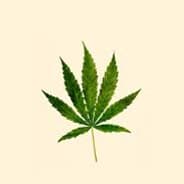 Weed