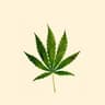 Weed