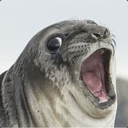 Svompi