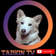 TaisonTV