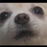 Not Gabe the Dog