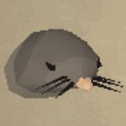 Pasuki