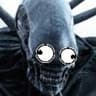 xeno