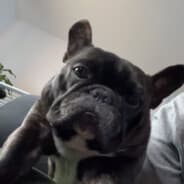 jason bjorn