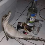 ????????????????????????????