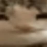 Cat ????