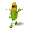 Mr.Salseo
