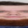 Rosebusk