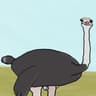 Ostrich