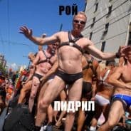 Рой пидрил