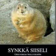 Siiseli