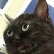 Tiamun