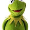 O Rufous Kermit