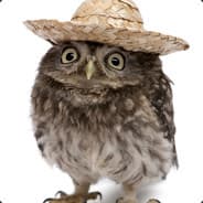 NormalOwl