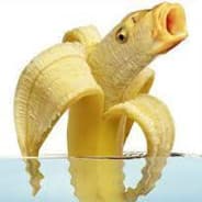 BananaFish