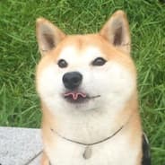 !filimon [H] 350 knife for trade