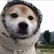 wdnmd