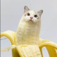 B1mplz
