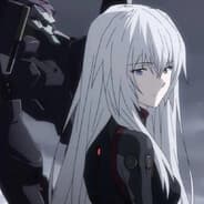Dianamef