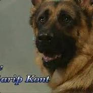 Garip Kont