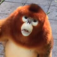 Carl