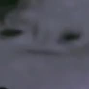 JeromeTheDome