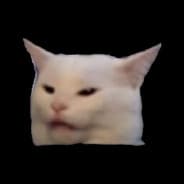 poopcat.eth