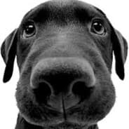 pako