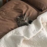 HEY!!1