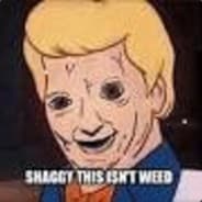 SHAGGY