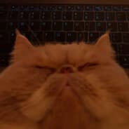 Luffey