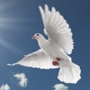 Abdullahi